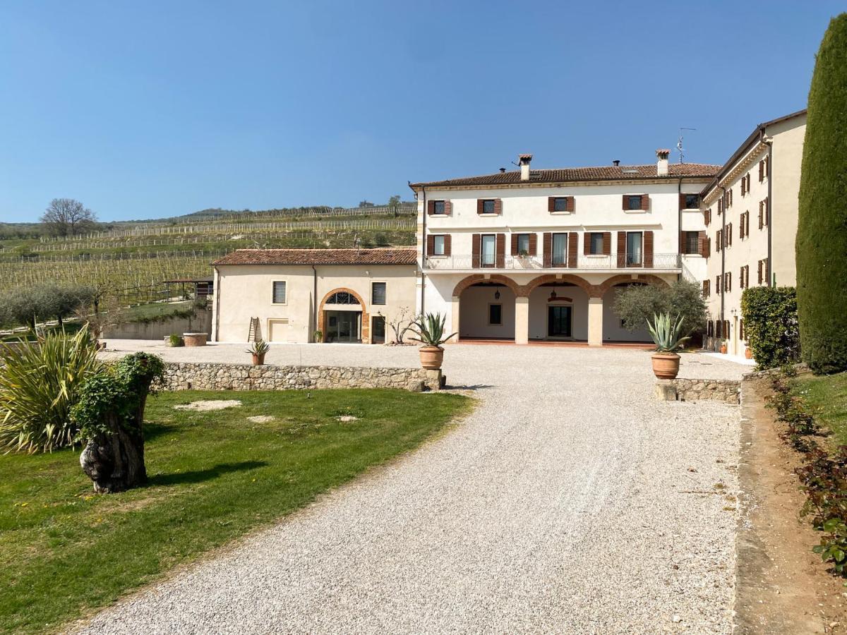 Verdeolivo 1876 - Apartments & Pool Mezzane di Sotto Buitenkant foto